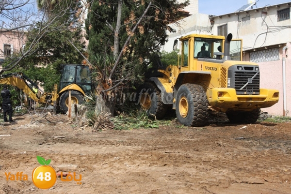 hadm galwash 0311 (11).JPG